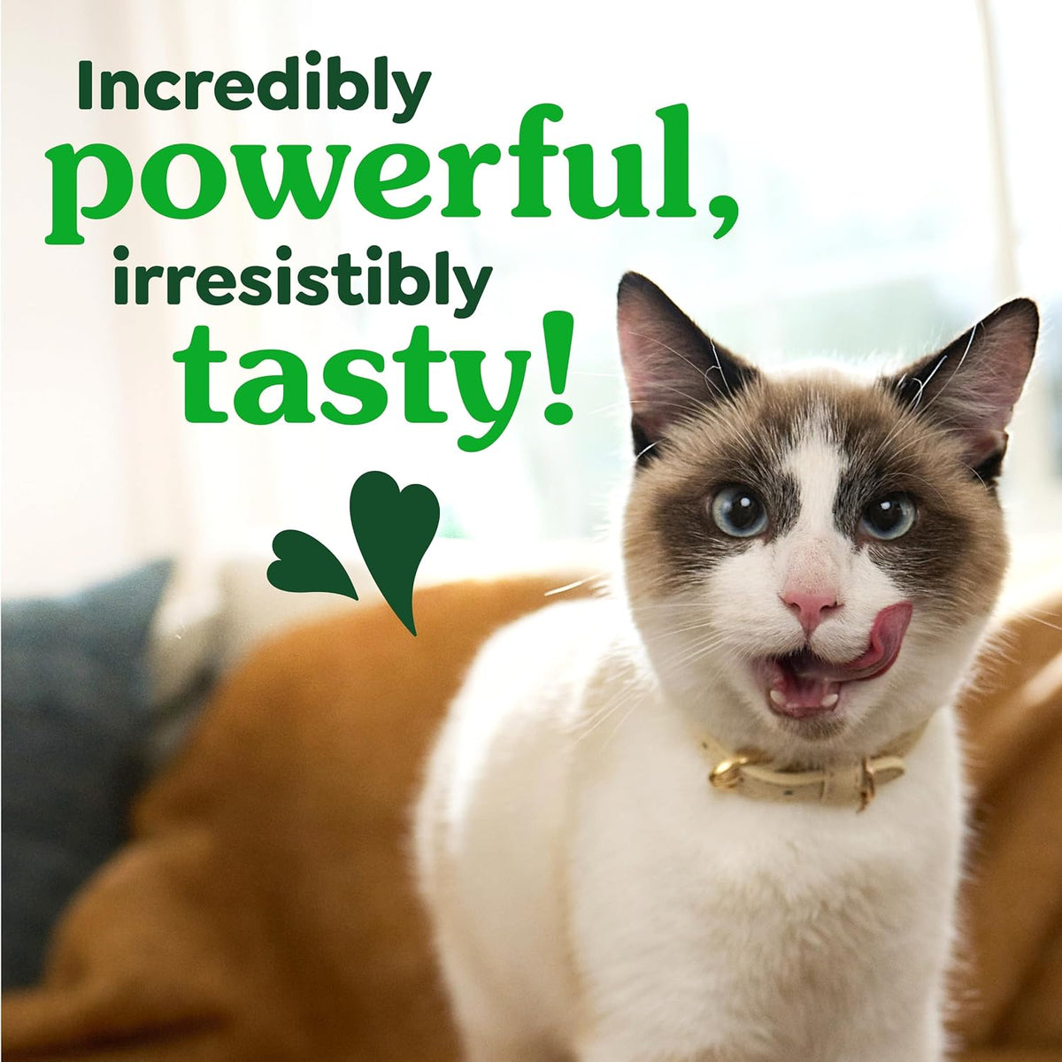 Feline Natural Dental Cat Treats – Roasted Chicken Flavor