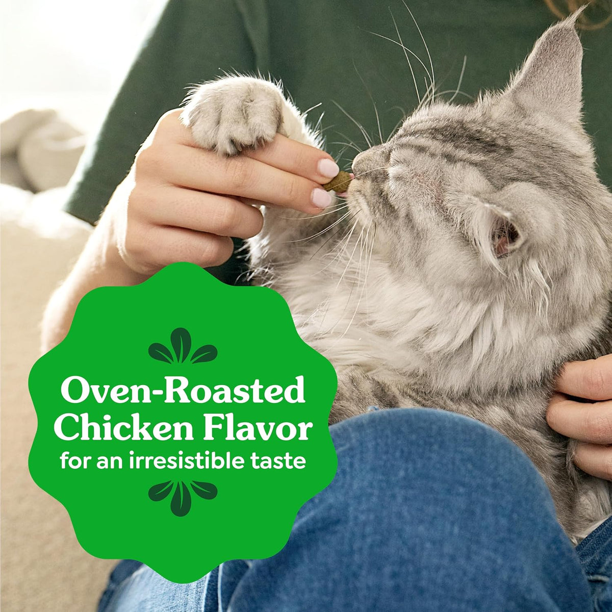 Feline Natural Dental Cat Treats – Roasted Chicken Flavor